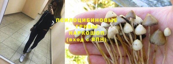 MDMA Богородицк